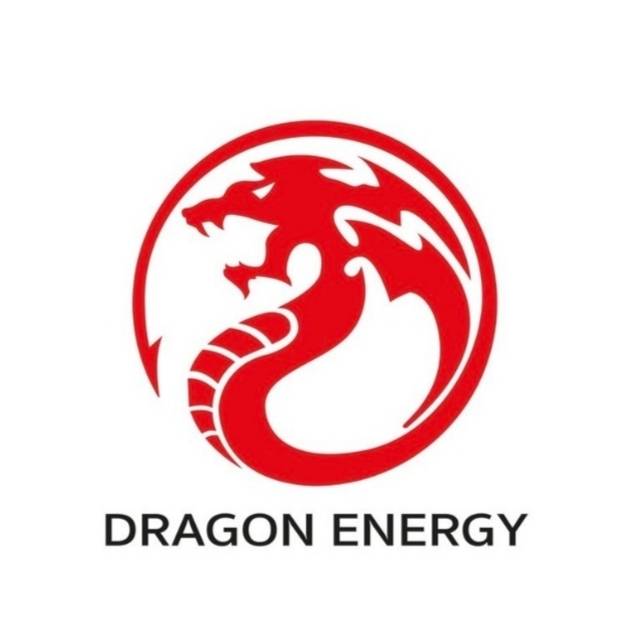 Dragon Energy Technology & Organizer Co., Ltd.